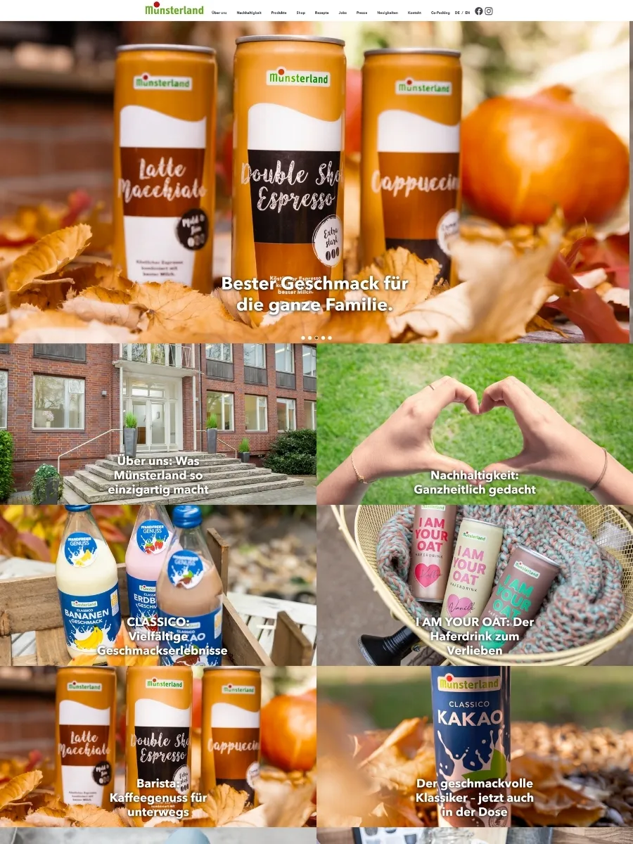 Alte Website von Münsterland J. Lülf GmbH